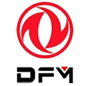 DFM